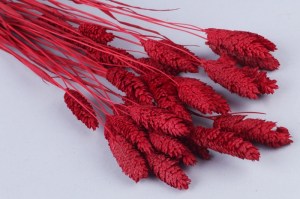Фаларис цветной 40г красный LXY006-5 фото