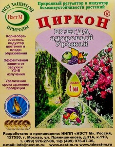 Циркон фото